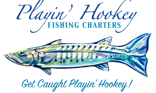 playinhookey logo trans